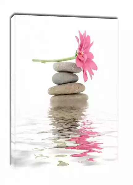 Spa. Kamienie Zen I Kwiaty - Obraz Na Płótnie Wymiar Do Wyboru: 