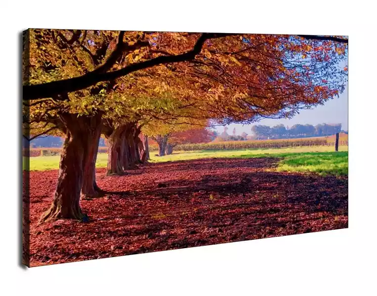 Kolorowy Krajobraz - Obraz Na Płótnie Wymiar Do Wyboru: 50X40 Cm
