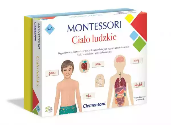 Gra Ciało Ludzkie Montessori 50095 -