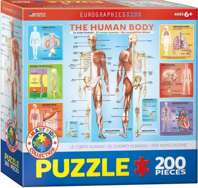 Puzzle 100 Smartkids The Human Body 6200-1000 -