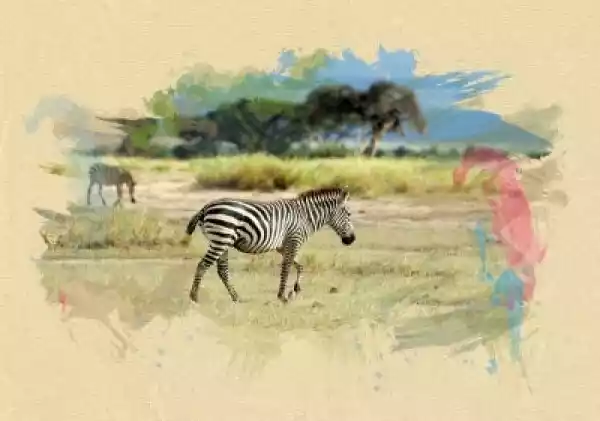 Plakat Zebra Na Papierze Z Teksturą. Efekt Pędzel