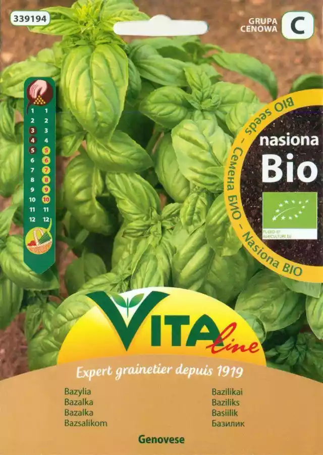 Nasiona Bazylii Bio 1 G - Vita Line (2321004)