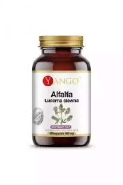Alfalfa - Lucerna Siewna Suplement Diety