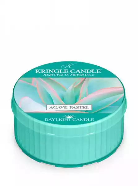 Kringle Candle - Agave Pastel - Świeczka Zapachowa - Daylight (4