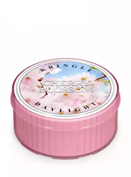Kringle Candle - Cherry Blossom - Świeczka Zapachowa - Daylight 