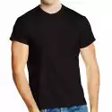 T-Shirt Koszulka Fruit Of The Loom 20 Kolorów M