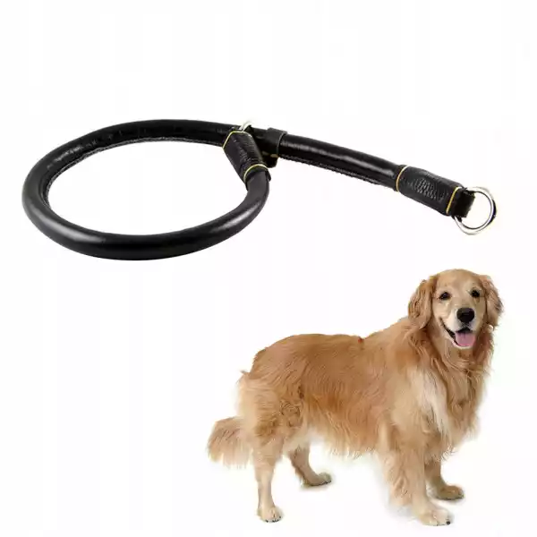 Pet Collar Medium I Duży Dog Leash Chain