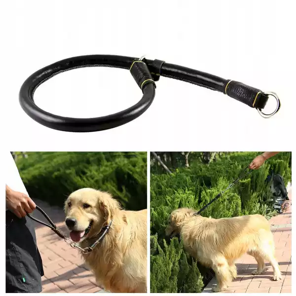 Pet Collar Medium I Duży Dog Leash P Chain