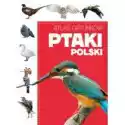  Atlas Gatunków. Ptaki Polski 