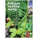  Polskie Rośliny Leśne 