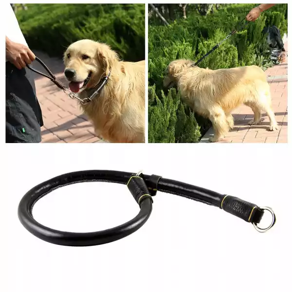 Pet Collar Medium I Duży Dog Leash Chain