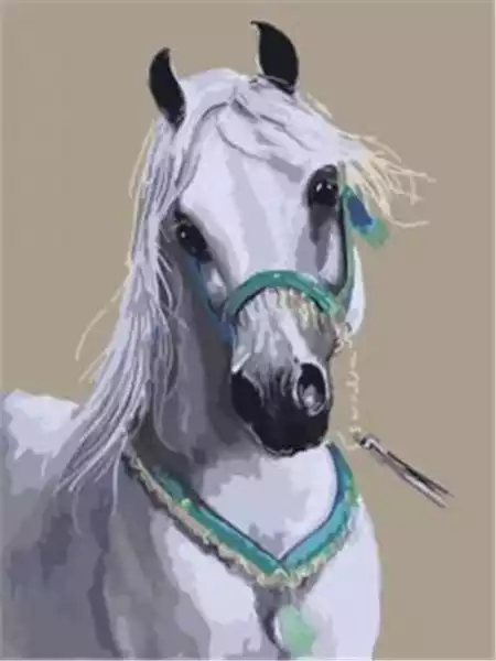 Norimpex Obraz Malowanie Po Numerach - Biały Koń Portret