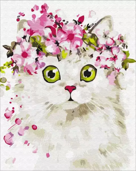 Symag Obraz Malowanie Po Numerach - Zaskoczony Kotek