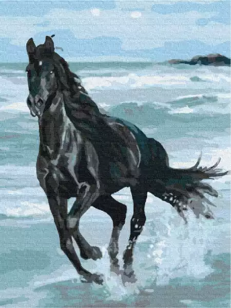 Symag Obraz Paint It! Malowanie Po Numerach. Czarny Koń