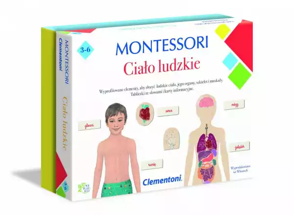 Clementoni Gra Montessori Ciało Ludzkie