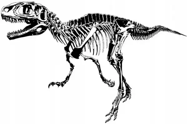 Naklejka Na Ścianę Dinozaur Szkielet