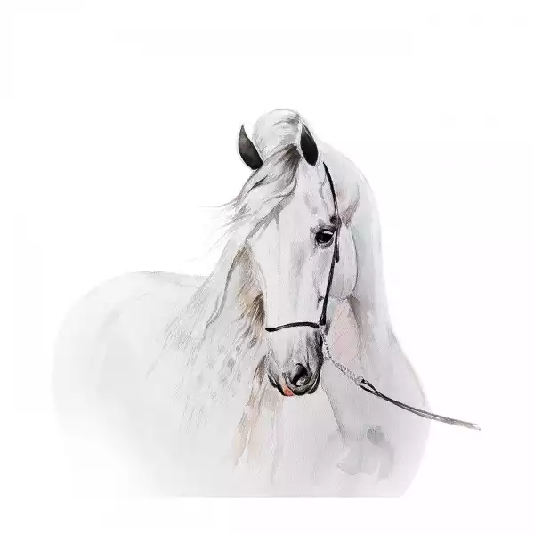 Naklejka Ścienna Biały Koń Na Ścianę Pastelowy Xl