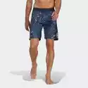 Classic Length Graphic Souleaf Board Shorts