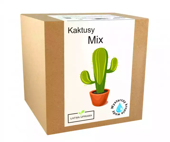 Zestaw Do Uprawy Kaktusy Mix Kaktus Sukulenty