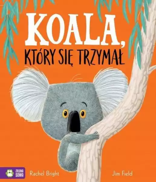 ﻿koala, Który Się Trzymał