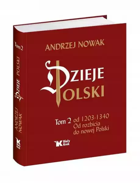 Dzieje Polski. Tom 2. Od Rozbicia Do Nowej Polski