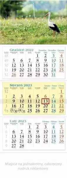 ﻿kalendarz 2023 Trójdzielny Bocian