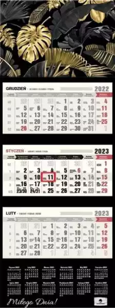 ﻿kalendarz 2023 Trójdzielny Wypukła Główka Liście