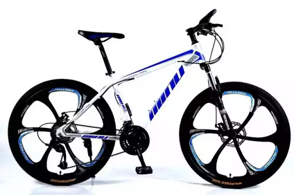 ﻿rower Górski Mtb Biało-Niebieski 26 6R P3