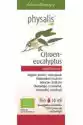 Olejek Eteryczny Eukaliptus Cytrynowy (Citroen Eucalyptus)