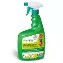 Betokson Al Spray – Poprawia Zapylanie Kwiatów – 750 Ml Akropak