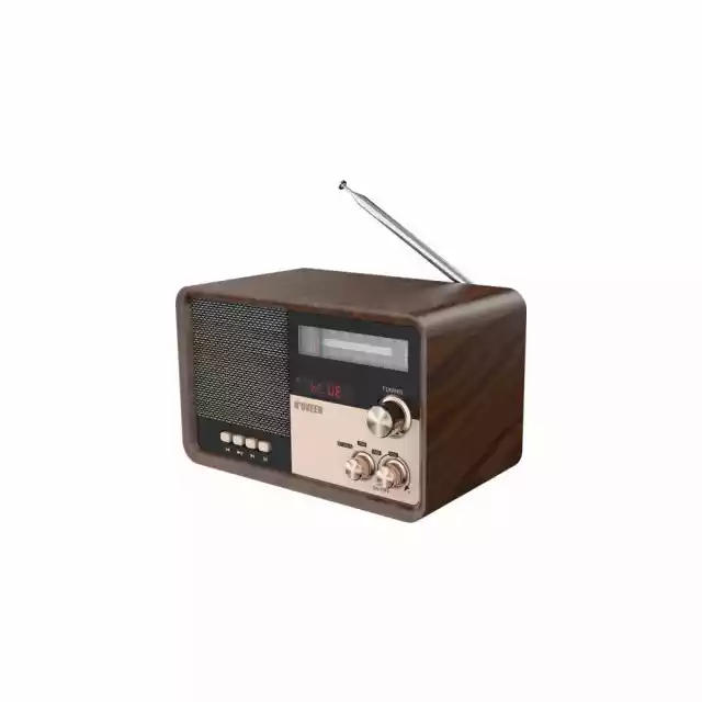 Radio Z Bluetooth Pr951 Brown