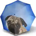 Parasol Art Collection Lazy Dog
