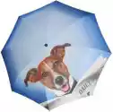 Parasol Art Collection Daily Dog