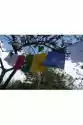 Tybetańskie Flagi Modlitewne - 20X24Cm/210 Cm