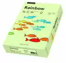 Papier Kolorowy Rainbow A4 160G/250Ark., Nr 72 - Blado Zielony