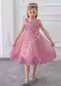 Dziecięca Sukienka Zdobiona Kwiatkami 3D I Haftem, Pustynny Róż 