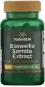 Swanson - Boswellia Serrata Ekstrakt, 125Mg, 60 Vkaps