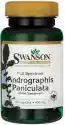 Swanson - Andrographis Paniculata, 400Mg, 60 Kapsułek