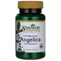Swanson - Full Spectrum Angelica Root, 400Mg, 60 Caps