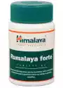 Himalaya - Rumalaya Forte, 60 Tabletek
