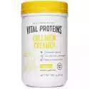 Vital Proteins - Collagen Creamer, Wanilia, Proszek, 305G