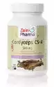 Zein Pharma Zein Pharma - Kordyceps, Cordyceps Cs-4, 500Mg, 120 Kapsułek